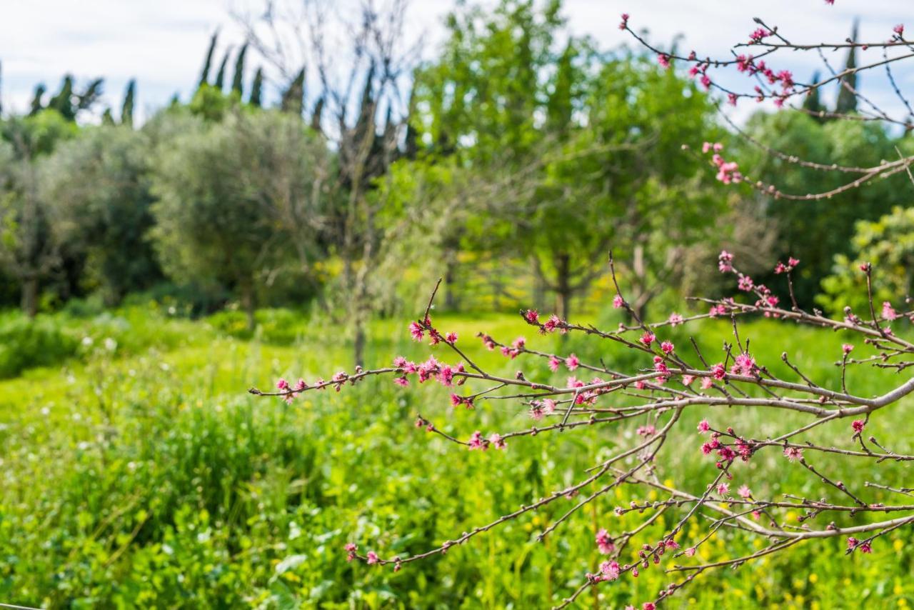 Traumhafte Finca Son Senyor - Mit Pferdekoppel Villa Sa Pobla Dış mekan fotoğraf